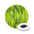 Dr Supplier 100% Water Soluble Npk Granular Fertilizer Seeweed Fertilizer Ammonium Sulphate Fertilizer China Aid NPK 15 5 26 95%